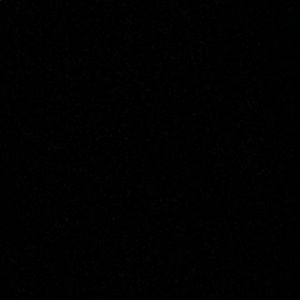 Meet your Posher, Sophia